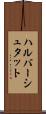 ハルバーシュタット Scroll