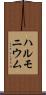 ハルモニウム Scroll