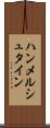 ハンメルシュタイン Scroll
