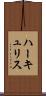 ハーキュリス Scroll