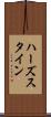 ハーズスタイン Scroll