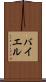 バイエル Scroll
