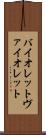 バイオレット Scroll