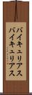 バイキュリアス Scroll