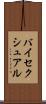 バイセクシュアル Scroll