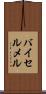 バイセルメル Scroll