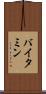 バイタミン Scroll