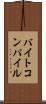 バイトコンパイル Scroll