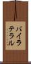 バイラテラル Scroll