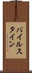 バイルスタイン Scroll