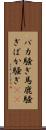 バカ騒ぎ Scroll