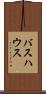 バスハウス Scroll