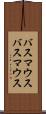 バスマウス Scroll
