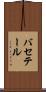 バセテール Scroll