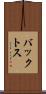 バックトス Scroll