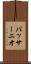 バッサーニオ Scroll