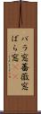 バラ窓 Scroll