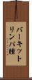 バーキットリンパ腫 Scroll