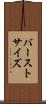 バーストサイズ Scroll