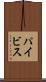 パイビス Scroll