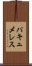パキュメレス Scroll