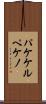パケケルペケノ Scroll