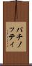 パチノッティ Scroll