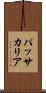 パッサカリア Scroll