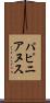 パピニアヌス Scroll
