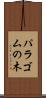 パラゴムの木 Scroll