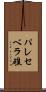 パレセベラ礁 Scroll