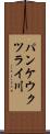 パンケウクツライ川 Scroll