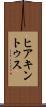 ヒアキントゥス Scroll