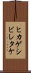 ヒカゲシビレタケ Scroll