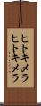 ヒトキメラ Scroll