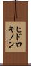 ヒドロキノン Scroll