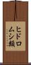 ヒドロムシ類 Scroll