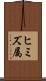 ヒミズ属 Scroll
