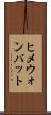 ヒメウォンバット Scroll
