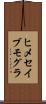 ヒメセイブモグラ Scroll
