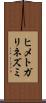 ヒメトガリネズミ Scroll