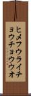 ヒメフウライチョウチョウウオ Scroll