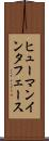 ヒューマン・インタフェース Scroll