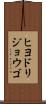 ヒヨドリジョウゴ Scroll