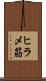 ヒラメ筋 Scroll