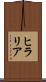 ヒラリア Scroll