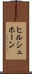 ヒルシュホーン Scroll