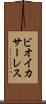 ビオイ・カサーレス Scroll