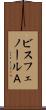 ビスフェノールＡ Scroll