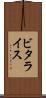 ビタライス Scroll